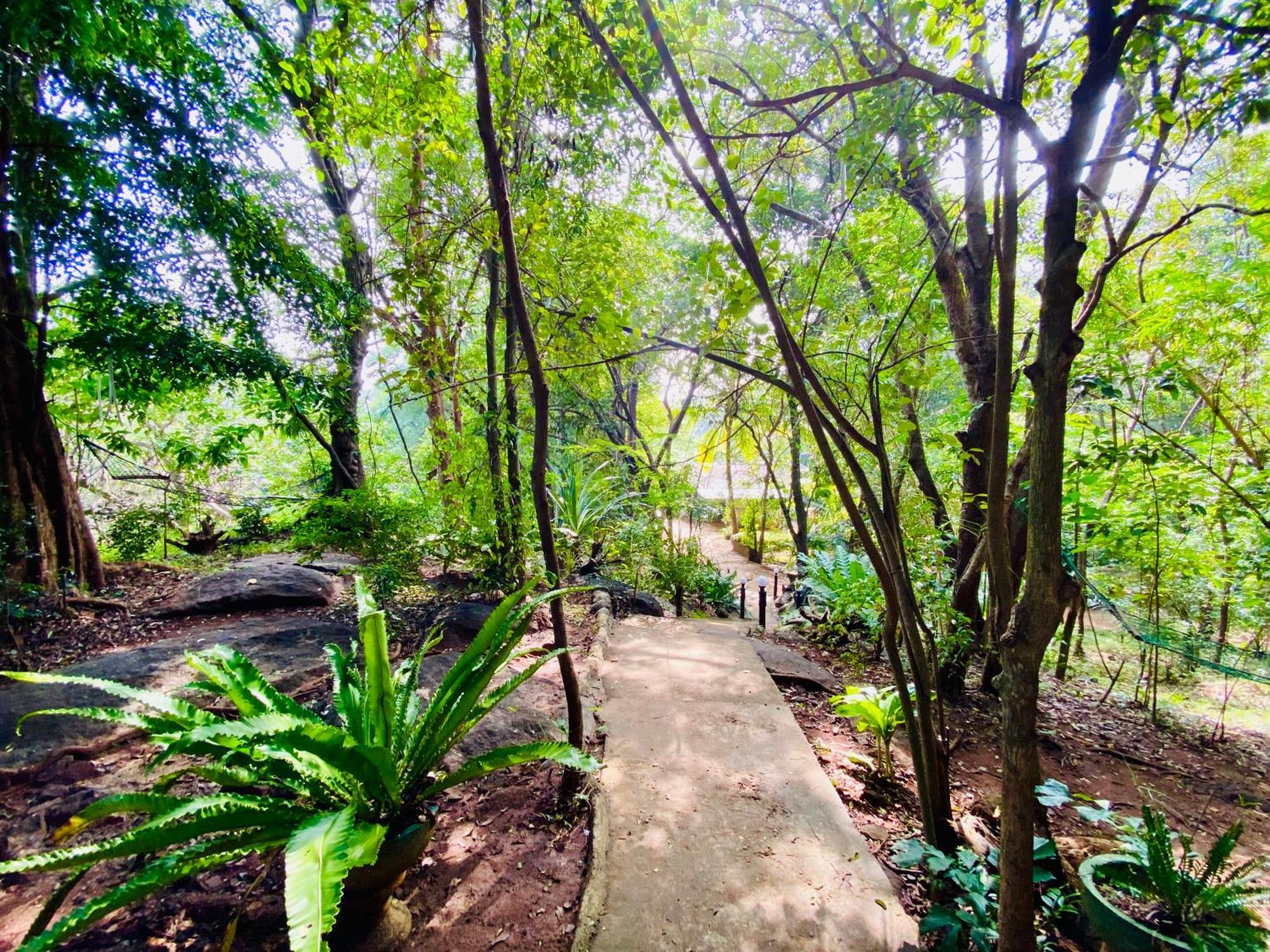Green House Resort Sigiriya Esterno foto